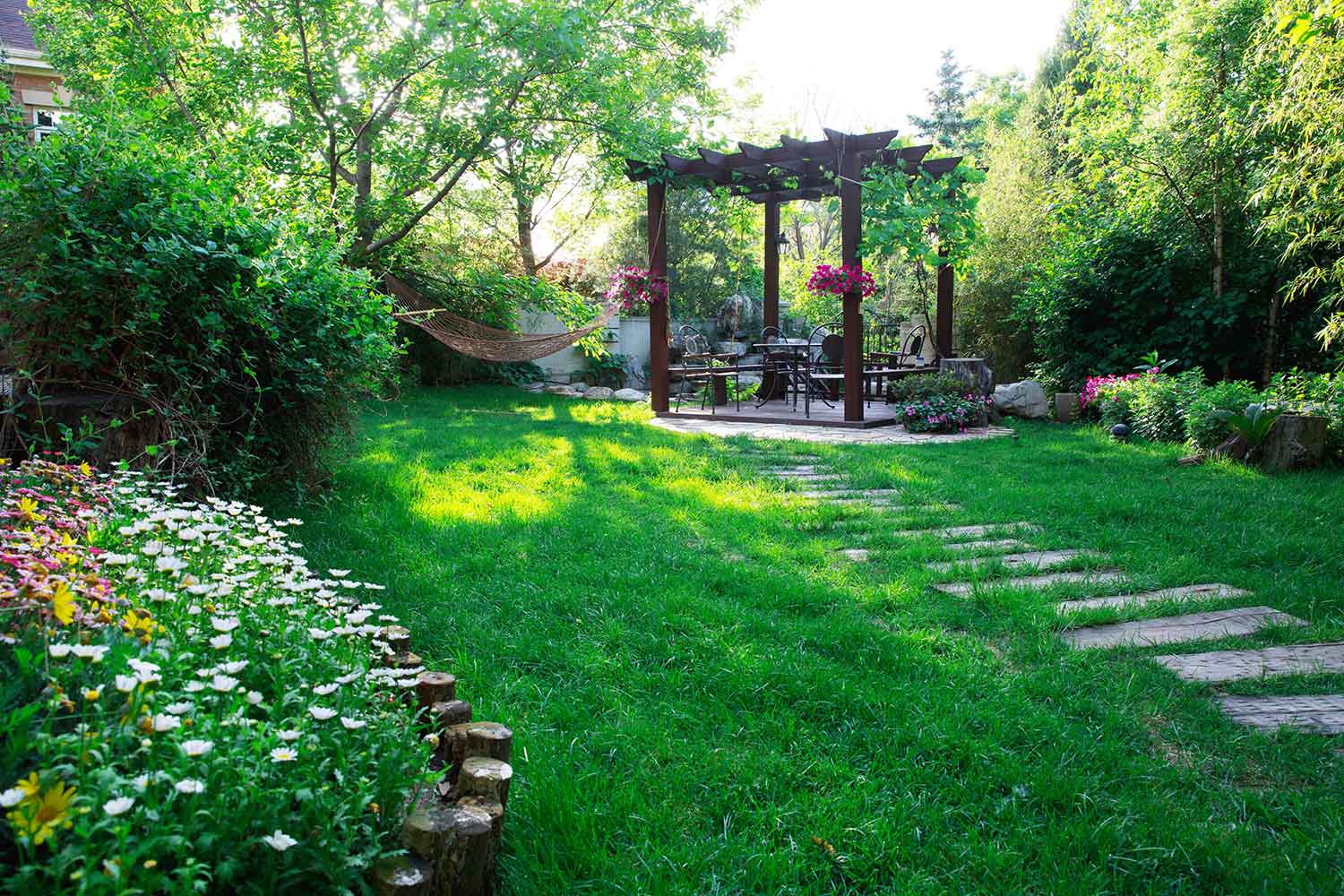Plants that could cause problems in your backyard | Better Homes and