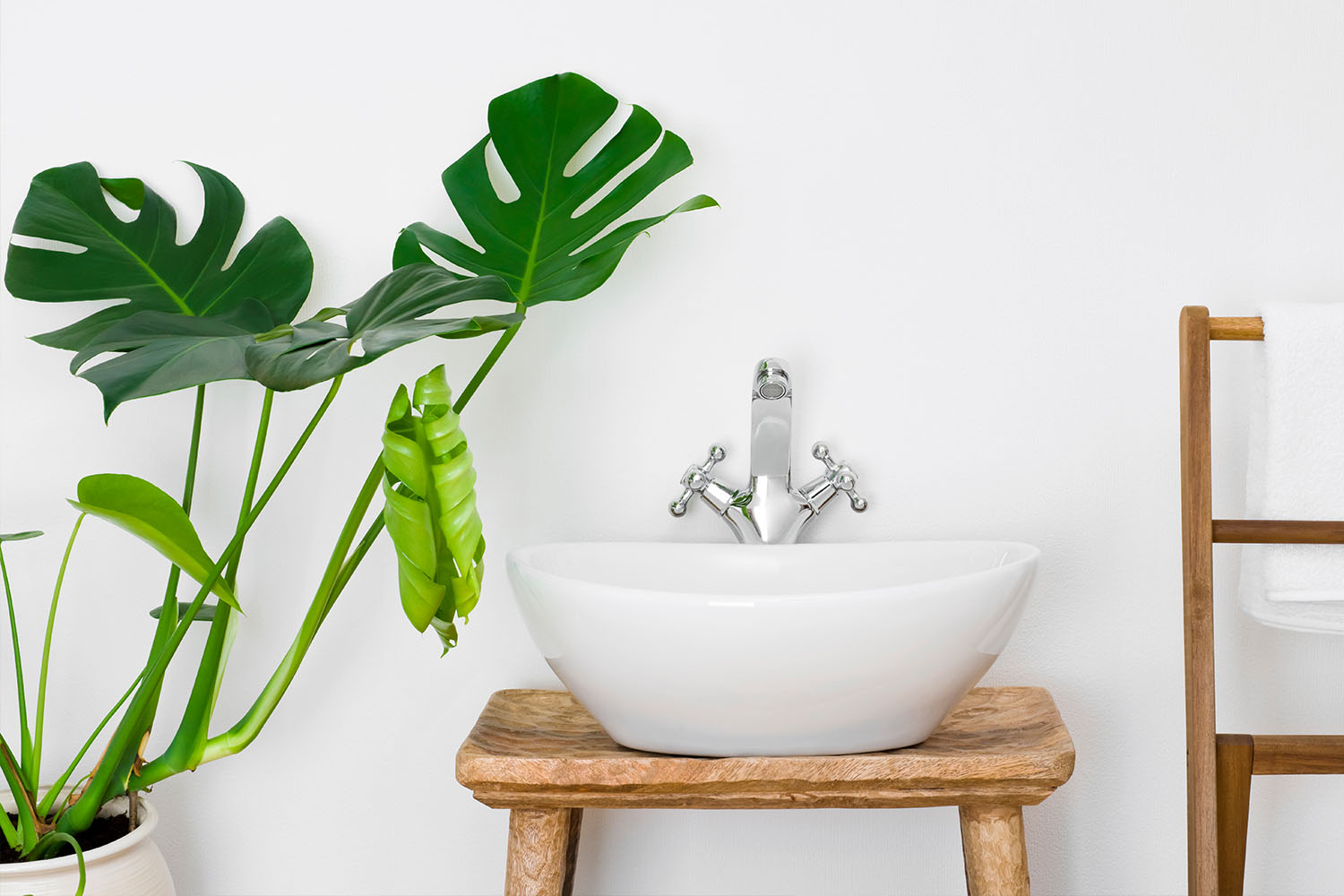 Seven Of The Best Bathroom Plants Better Homes And Gardens - Indoor Plants For Bathrooms Australia