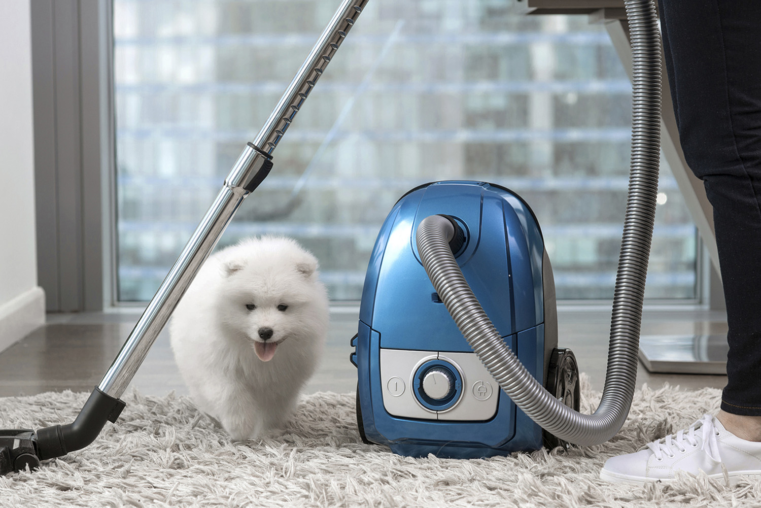10 Best Vacuum Cleaners for Pet Hair Dyson & More Better Homes and
