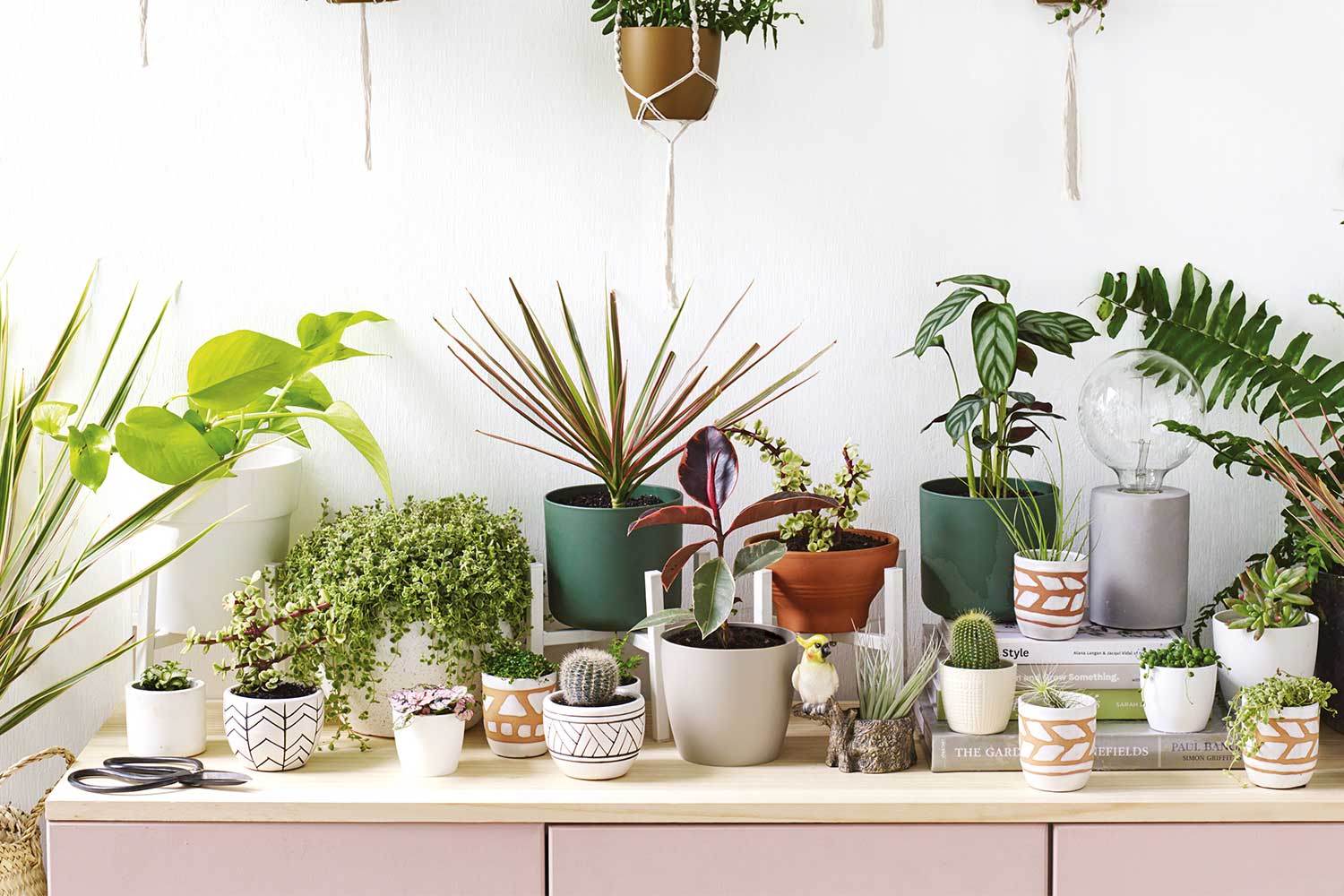 10 of the best pots and planters at Bunnings Better
