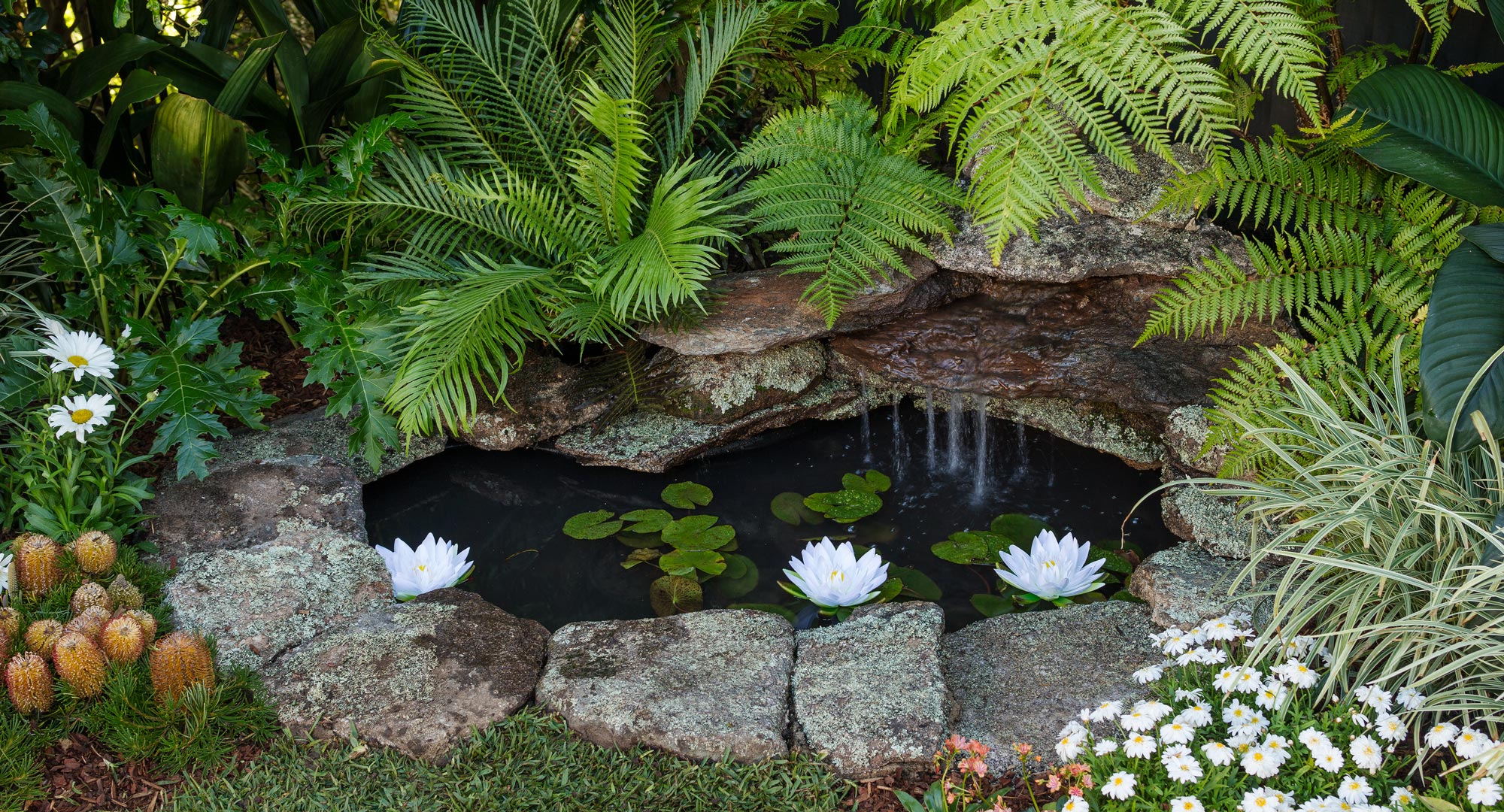 Build a stunning and serene backyard pond | Better Homes ...