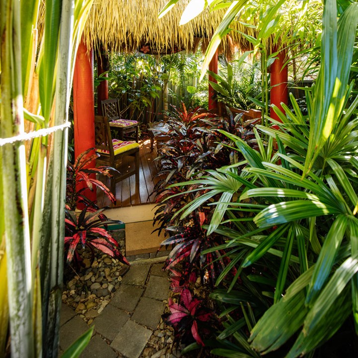 Create Your Own Tropical Backyard Oasis, Tropical Garden Designs Queensland