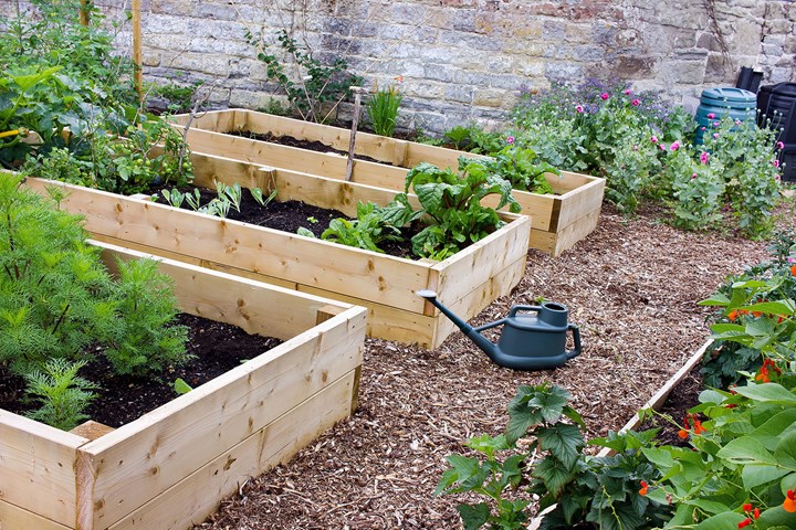How To Get The Best Results From Your Garden Beds In Winter Better Homes And Gardens - What To Do With Raised Garden Beds In Winter