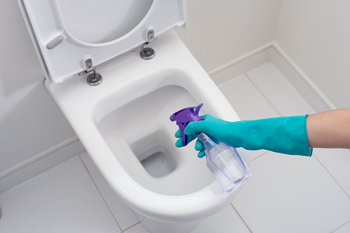 toilet spray bottle purple