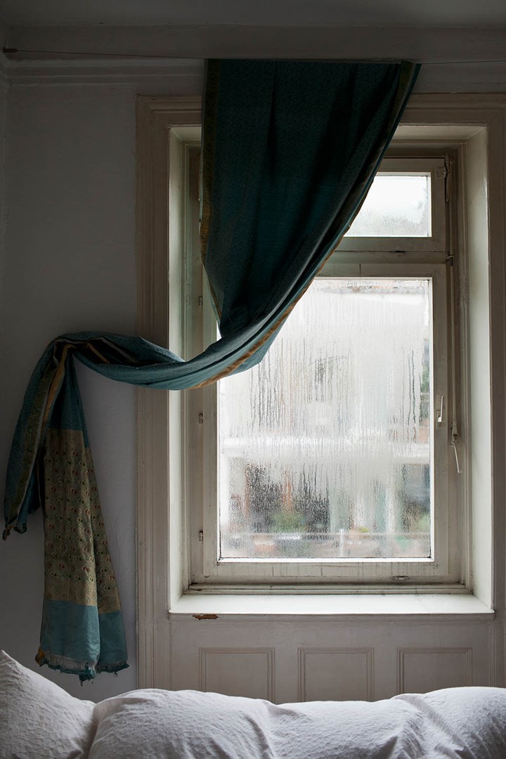 damp window