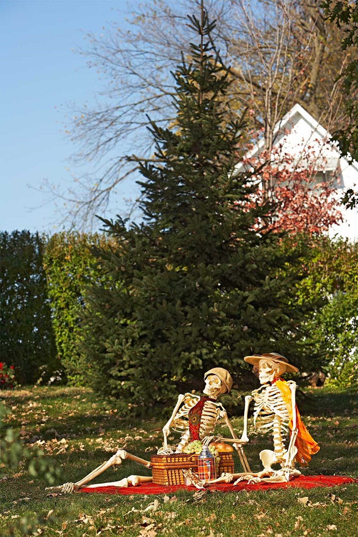 Funny Halloween skeletons posing in front garden.