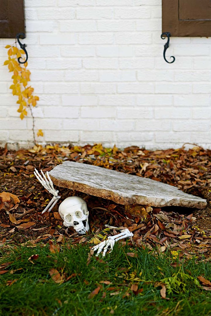 Funny skeleton crawling out of grave for Halloween