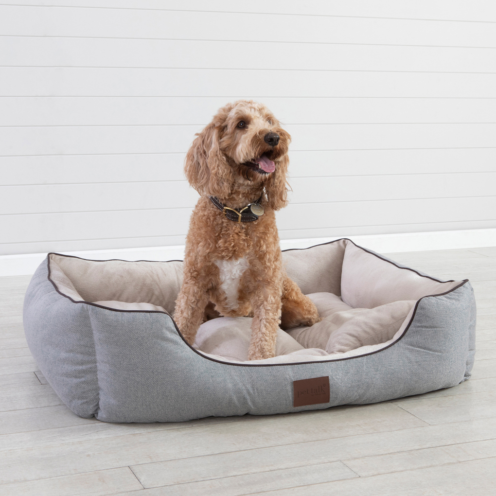 Best Dog Beds Australia: We Review the 