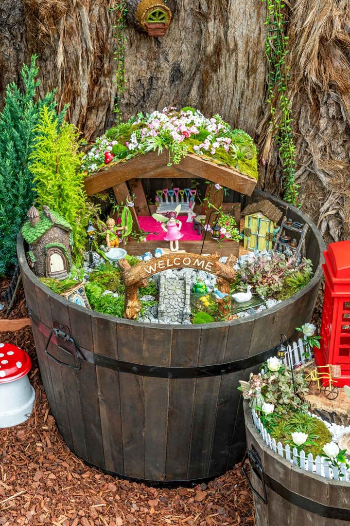 Create A Fairy Garden Better Homes, How To Make A Fairy Garden