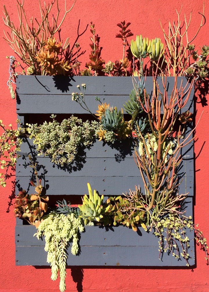 Vertical Pallet Garden How To Build A, How To Make A Vertical Pallet Succulent Garden