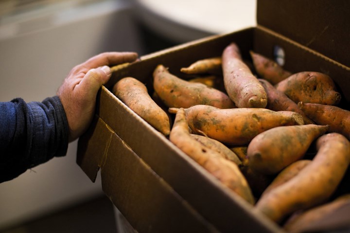 A box of dirty sweet potatoes covered in dirt