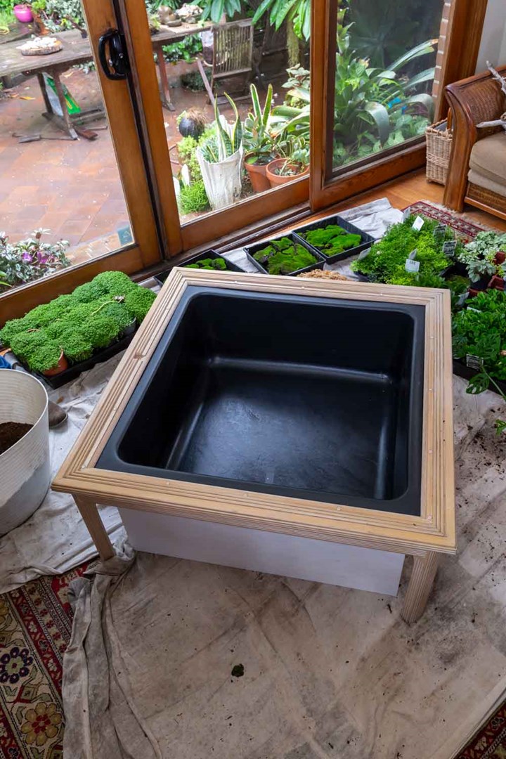 DIY Terrarium Moss Garden Coffee Table: Building a terrarium coffee table -  Terrarium Creations