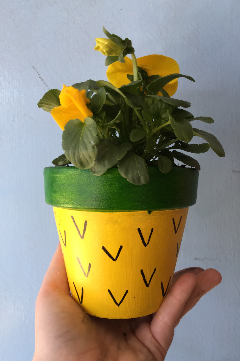 Adorable Painted Flower Pots Craft for Kids