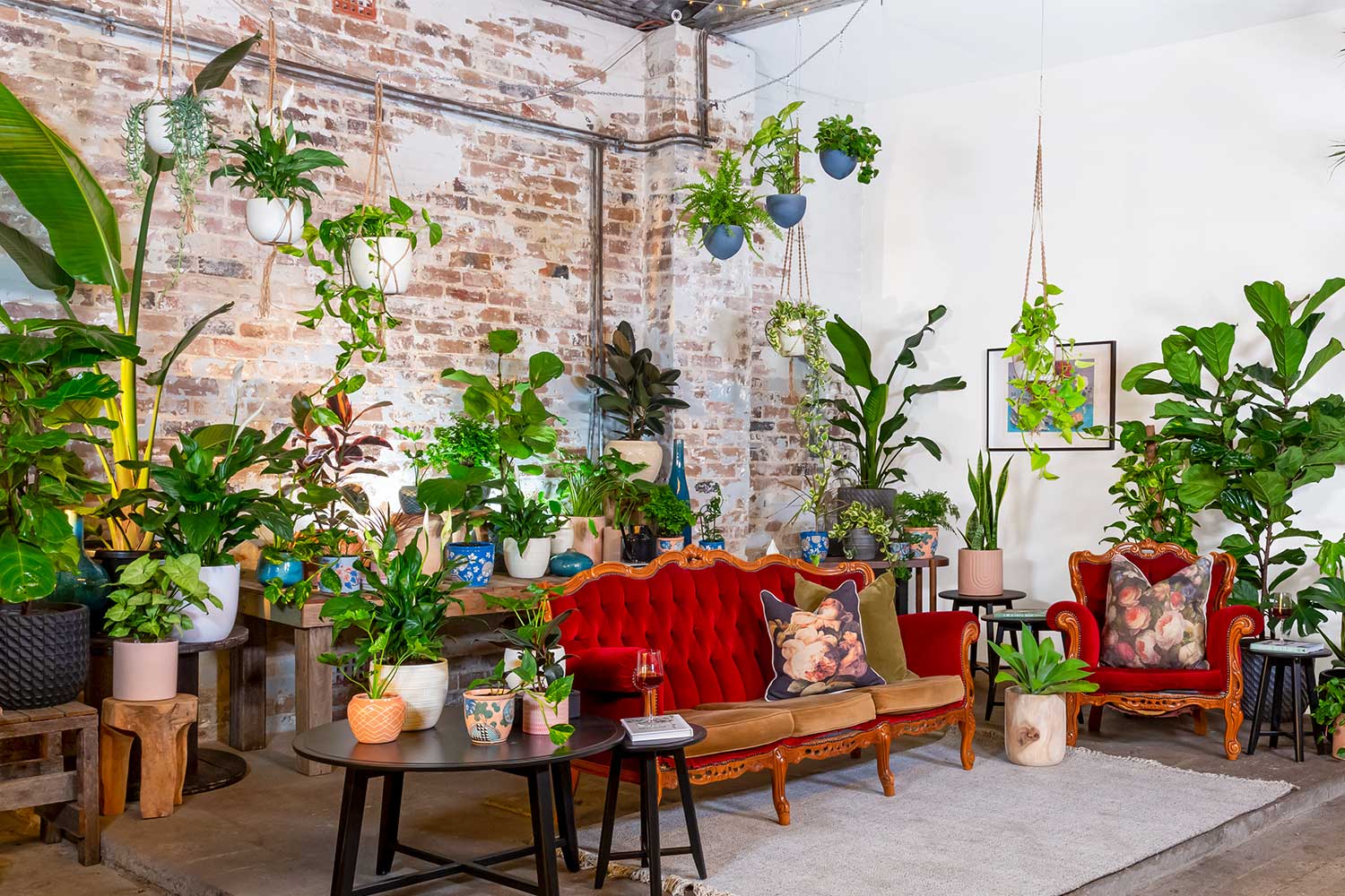 The top 10 indoor plant influencers in the world | Better Homes and Gardens