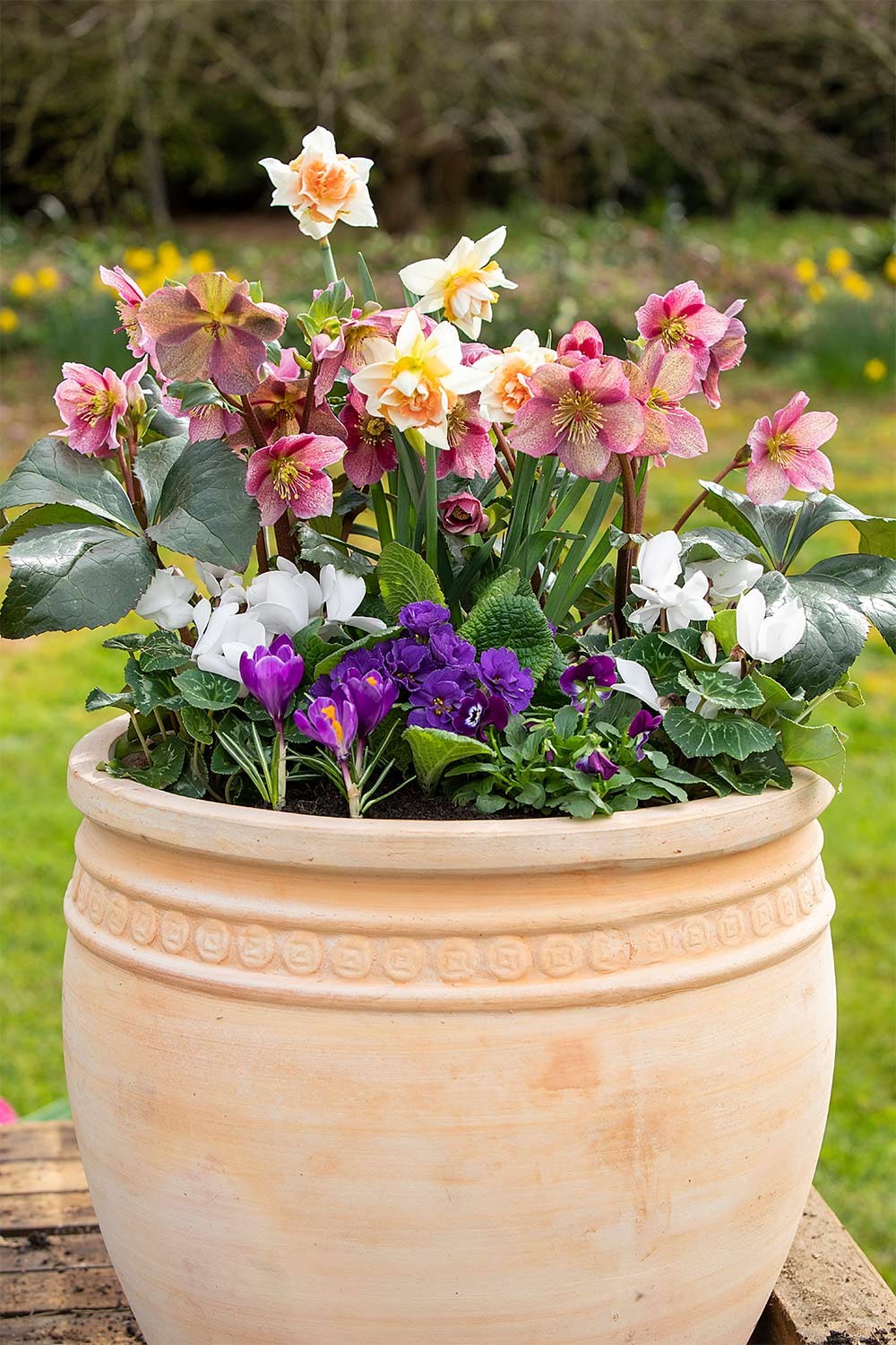 How to make beautiful flower pots at home | Better Homes and Gardens