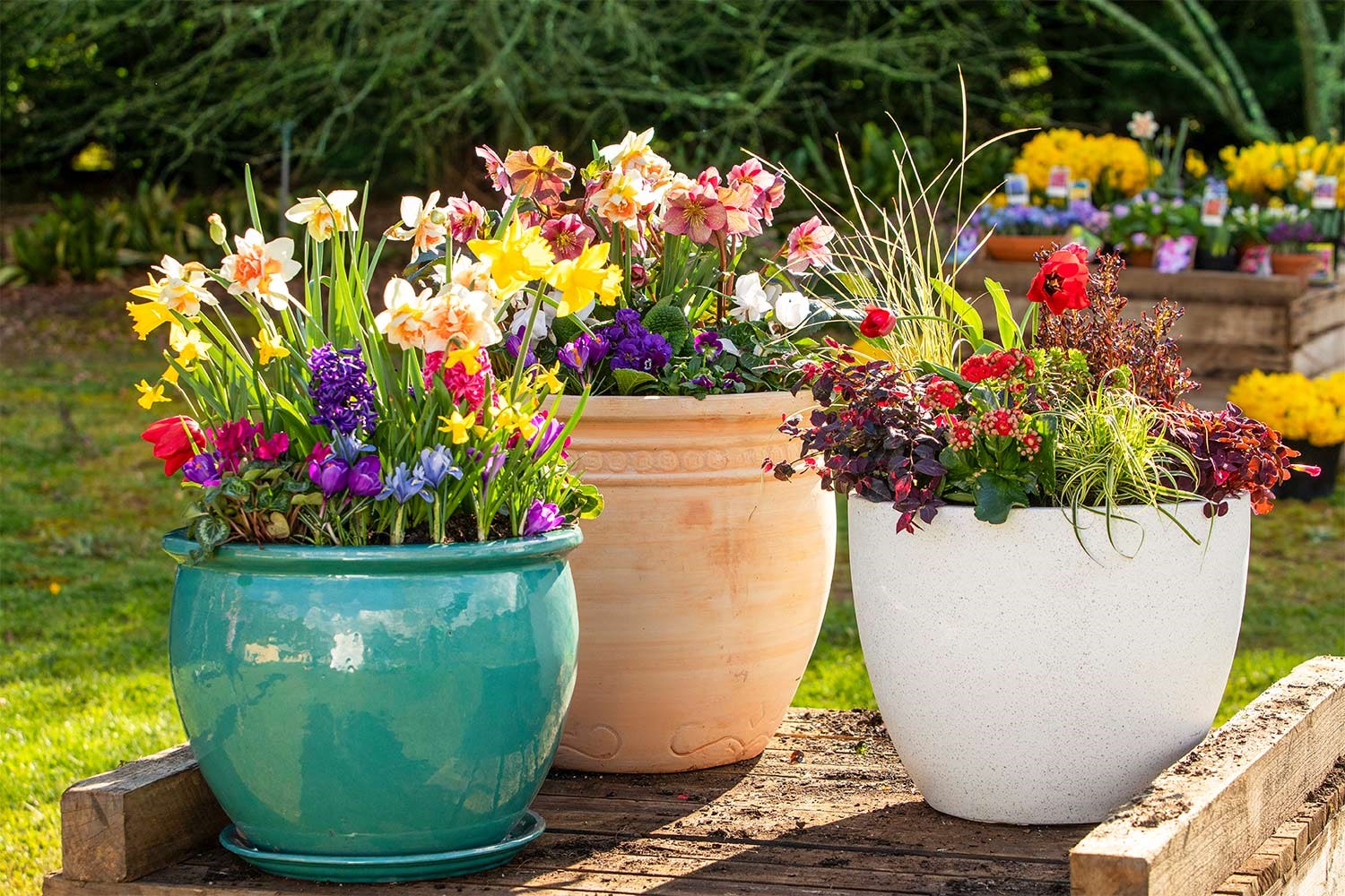 How to make beautiful flower pots at home | Better Homes and Gardens