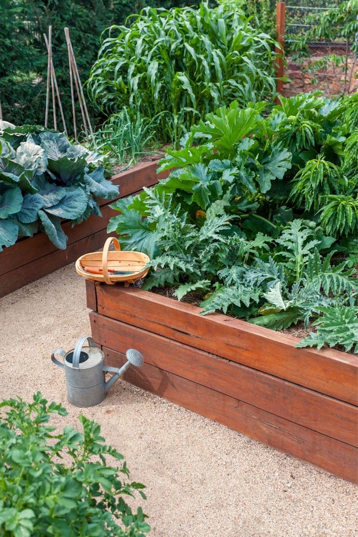Creating Raised Garden Beds, What Timber To Use For Raised Garden Beds Australia