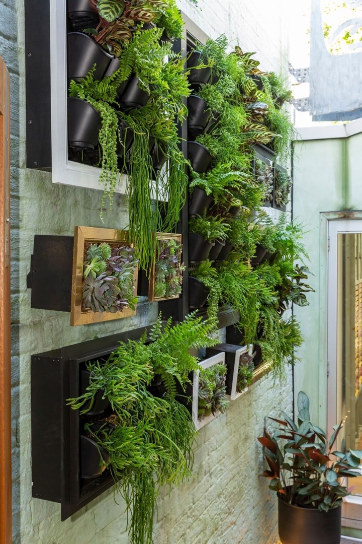 Vertical Garden With Frames, How To Do A Vertical Garden Wall