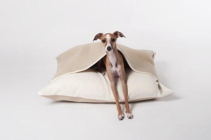 https://misterwoof.net/collections/beds/products/mister-hound-bed-biscuit