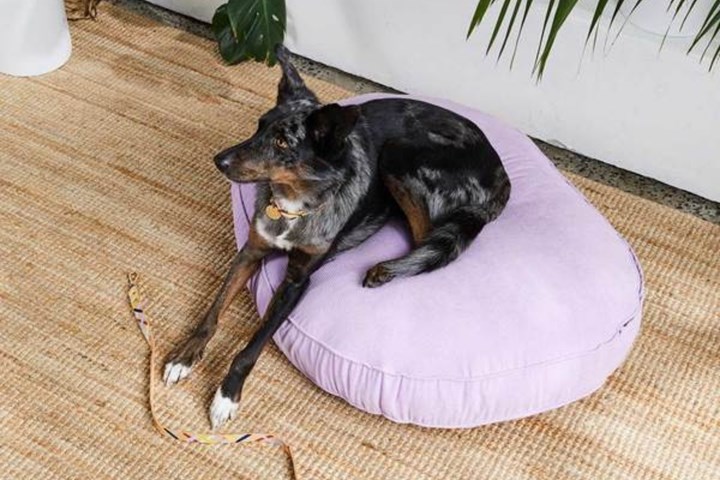 https://www.nicedigs.com.au/products/cord-dog-bed-lilac?_pos=2&_sid=b28b5bfee&_ss=r