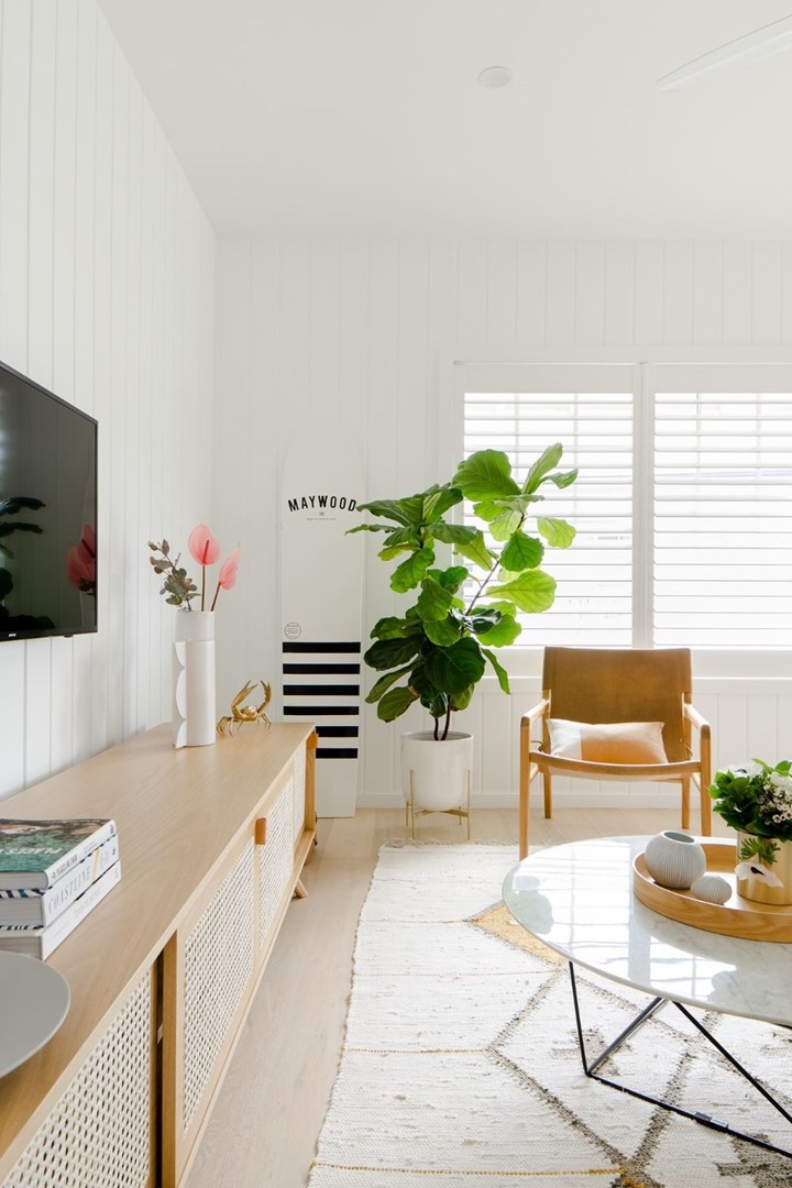 living-room-plants