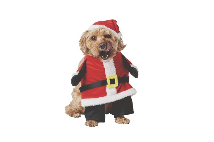 Christmas pet costume