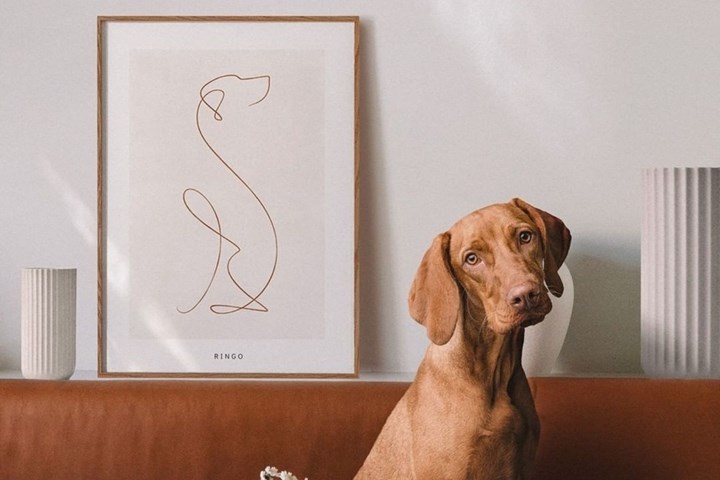 Personalised gifts for pets and owners | Better Homes and Gardens