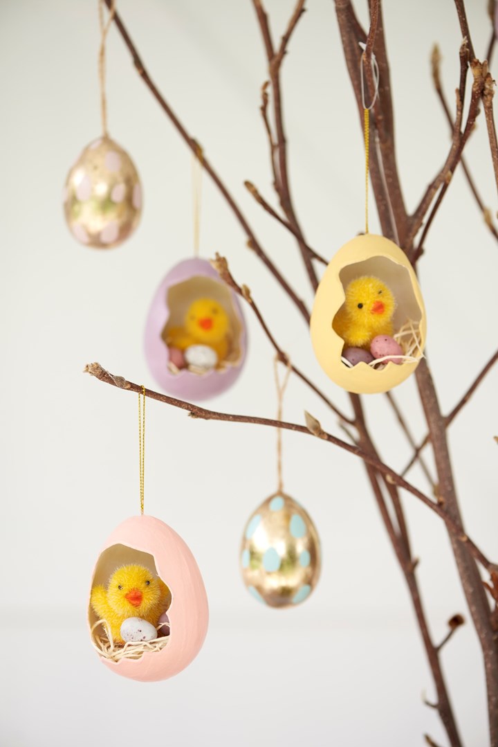 Suspender nidos de huevos y pollitos de un arreglo de ramas.