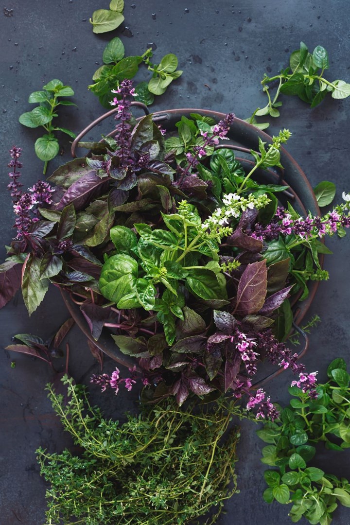 colourful-herbs