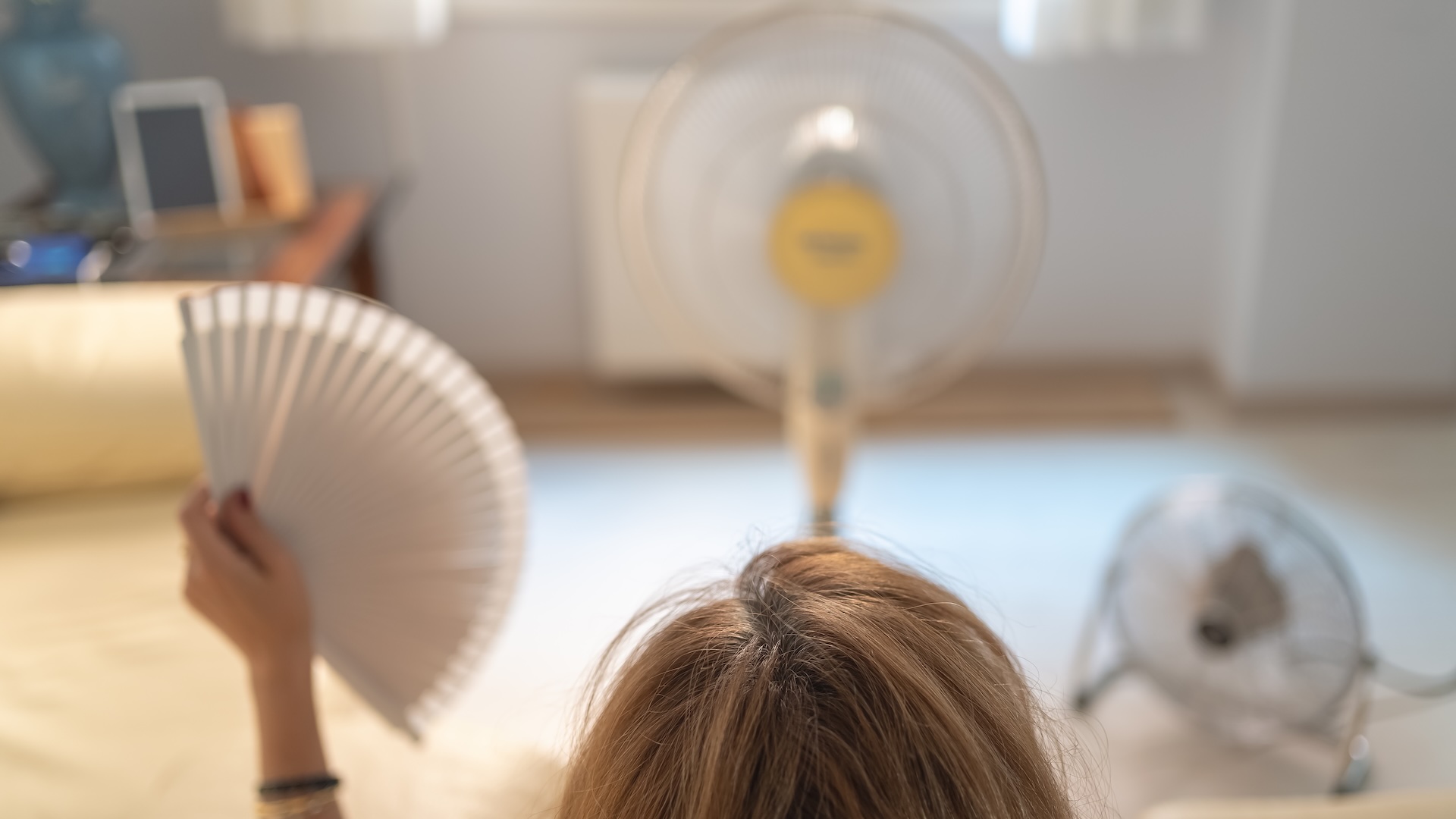 The best fans to keep you cool through summer’s hot, humid weather