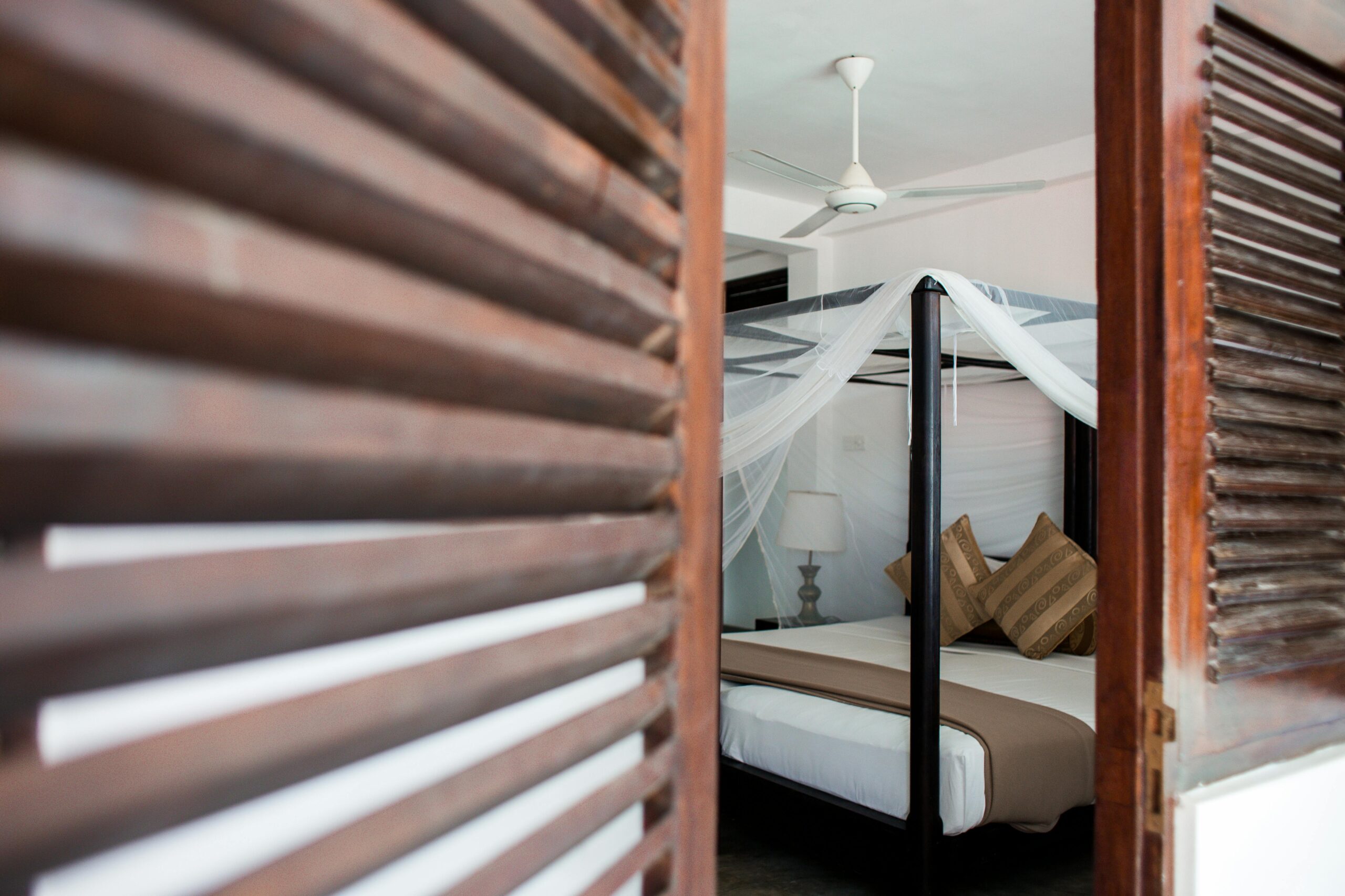 NSW Health’s mosquito warning: Viruses detected early and how to protect yourself