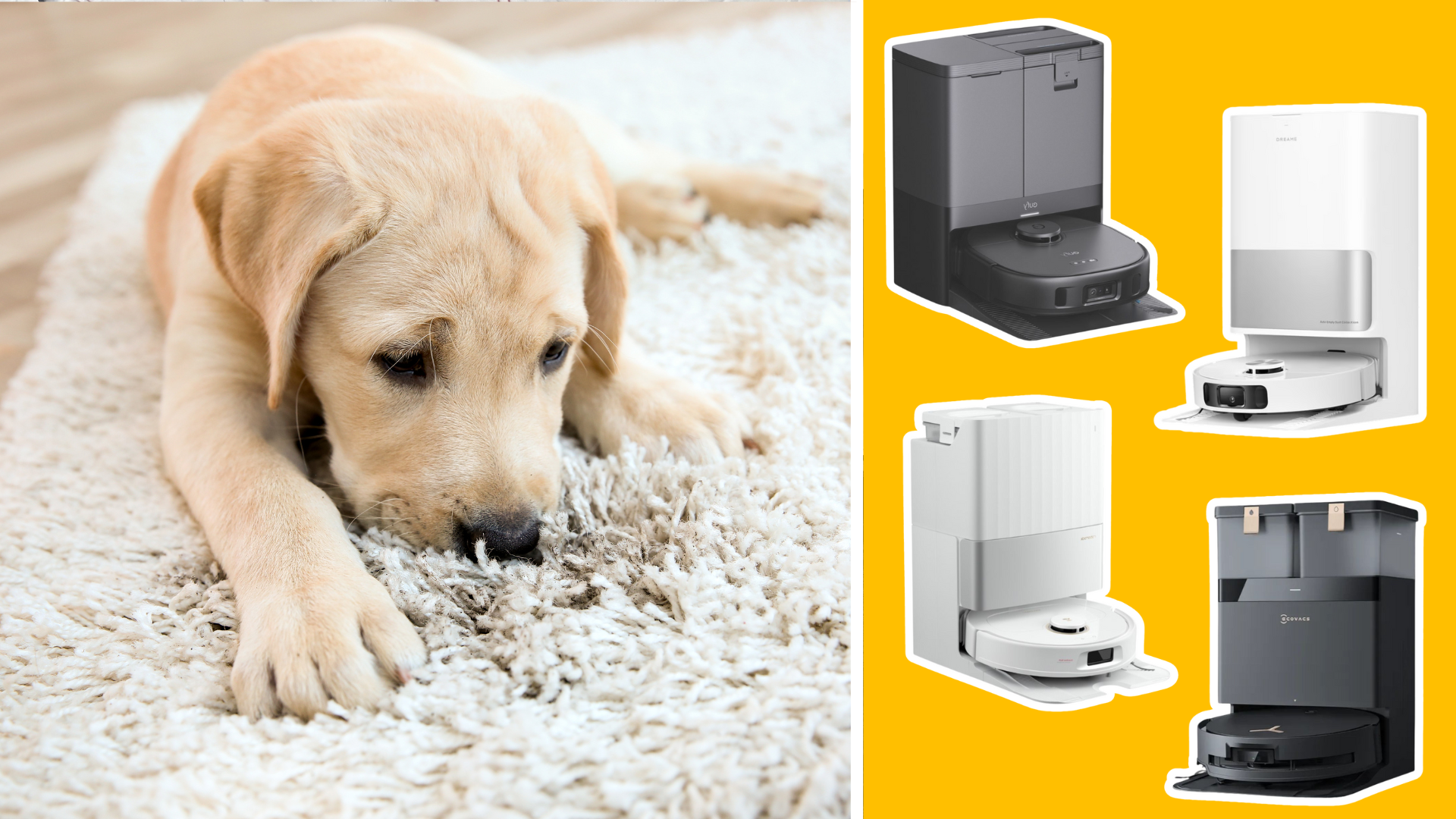 Why pet owners are opting for these 5 specific robot vacuums