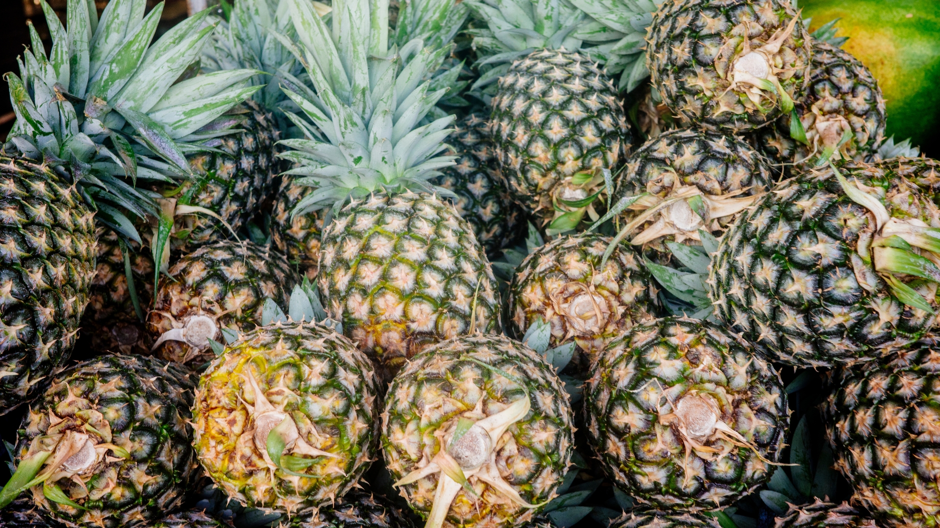 Australian pineapple farmers are facing an oversupply crisis—your next shop could help