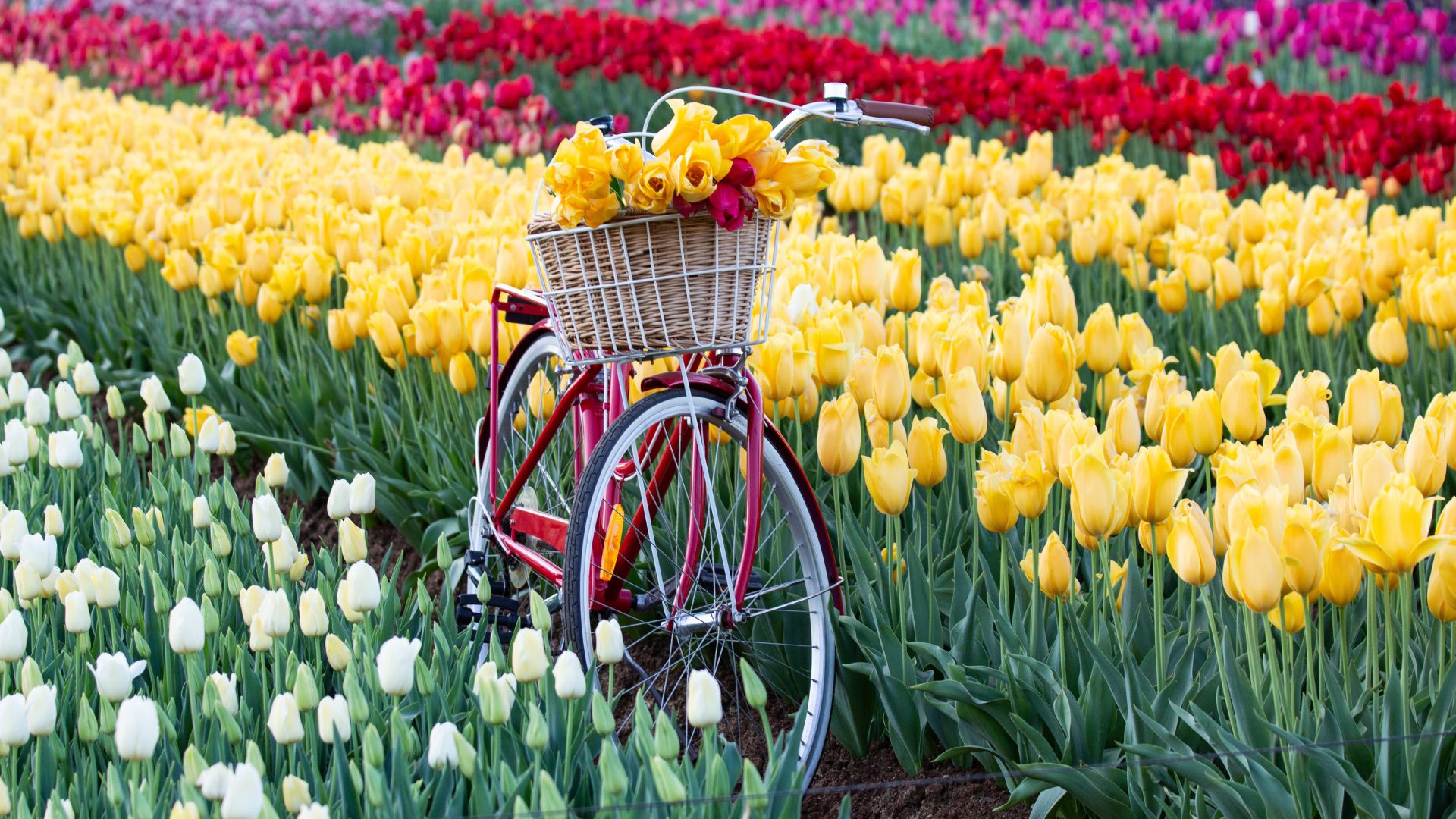 What’s on this month across Australia