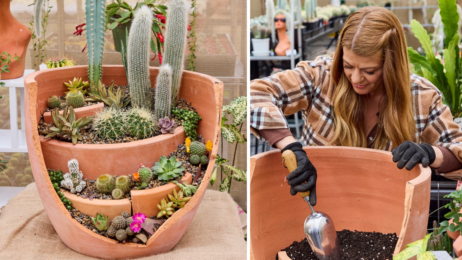 How Melissa King is using broken pots in the garden for her succulents