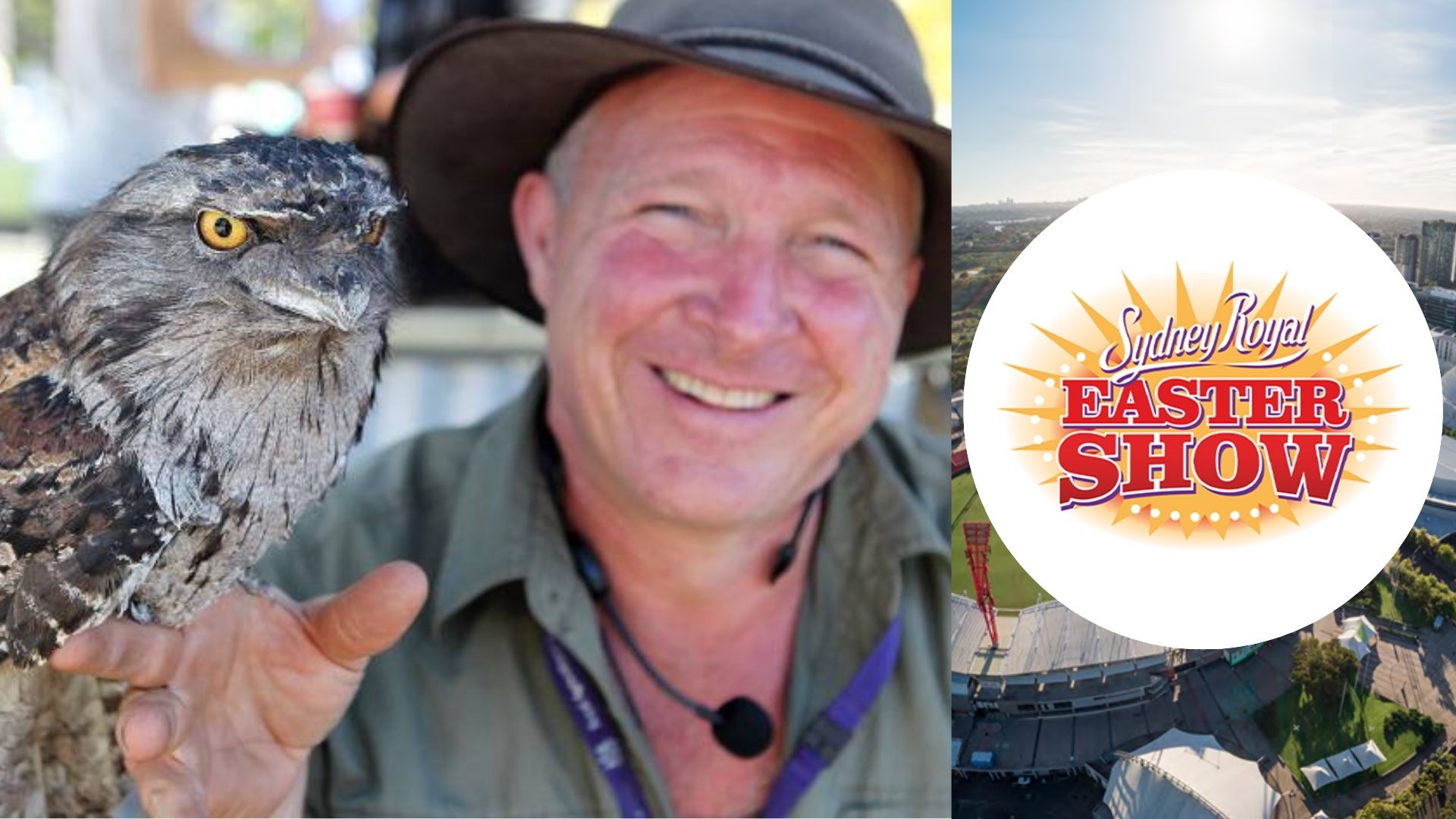 The Easter Show’s best-kept secret is a man with a crocodile