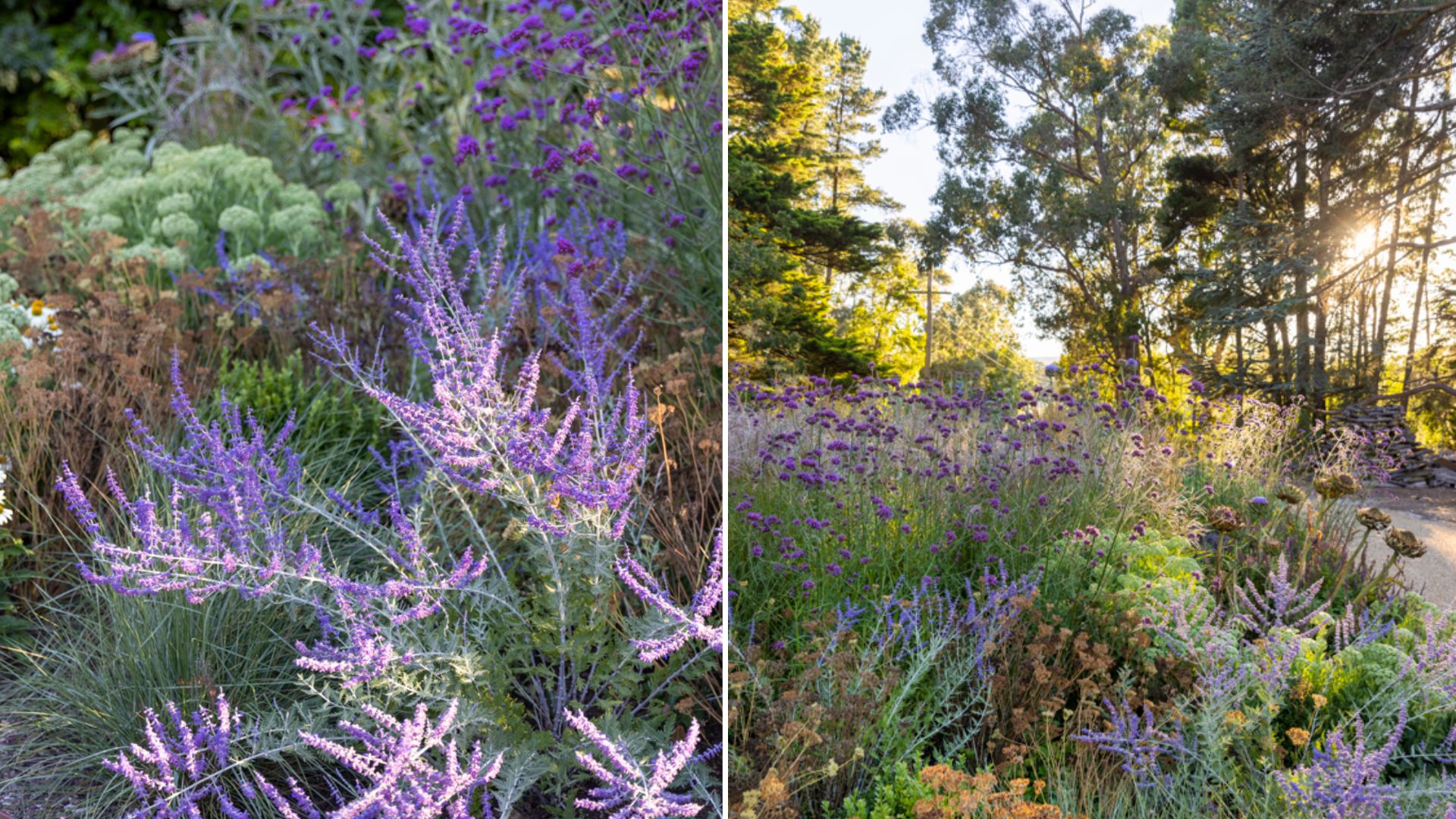The $100 garden makeover: here’s what 2 experts would buy