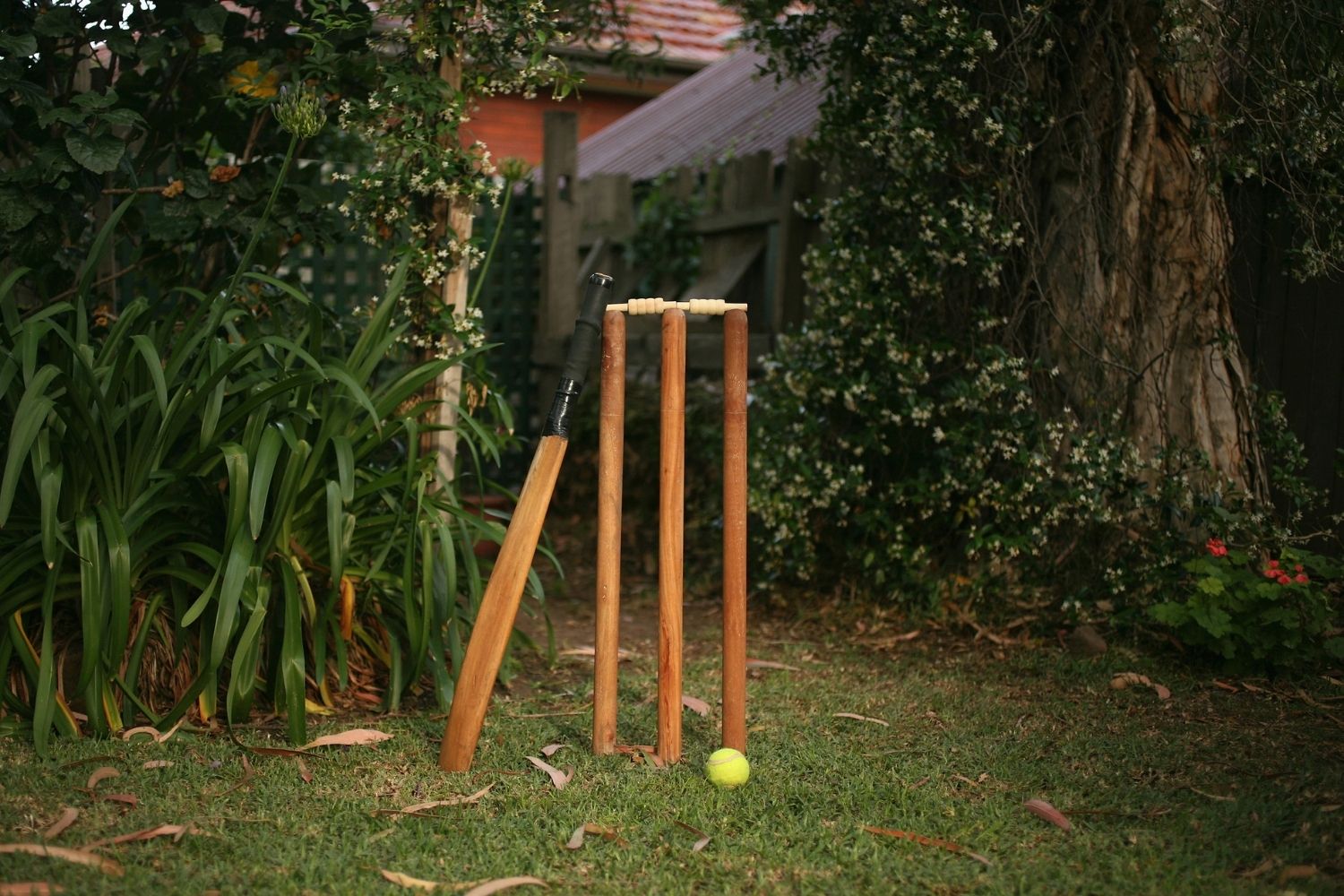 How to make a backyard cricket pitch Better Homes and Gardens