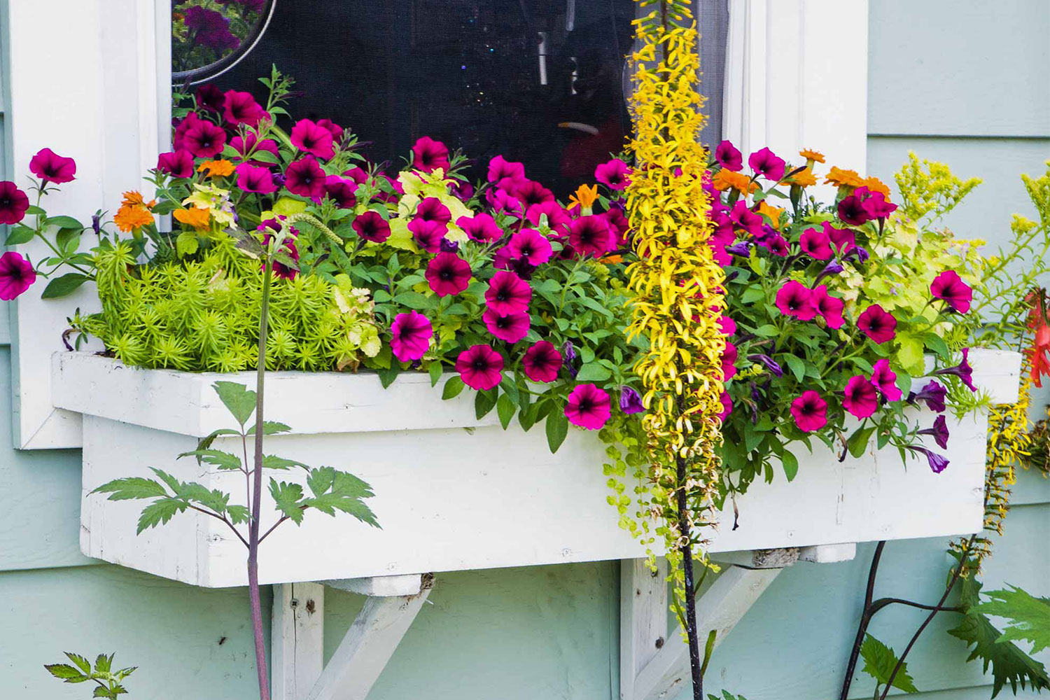 Window Planer Make a window planter box | Better Homes and Gardens