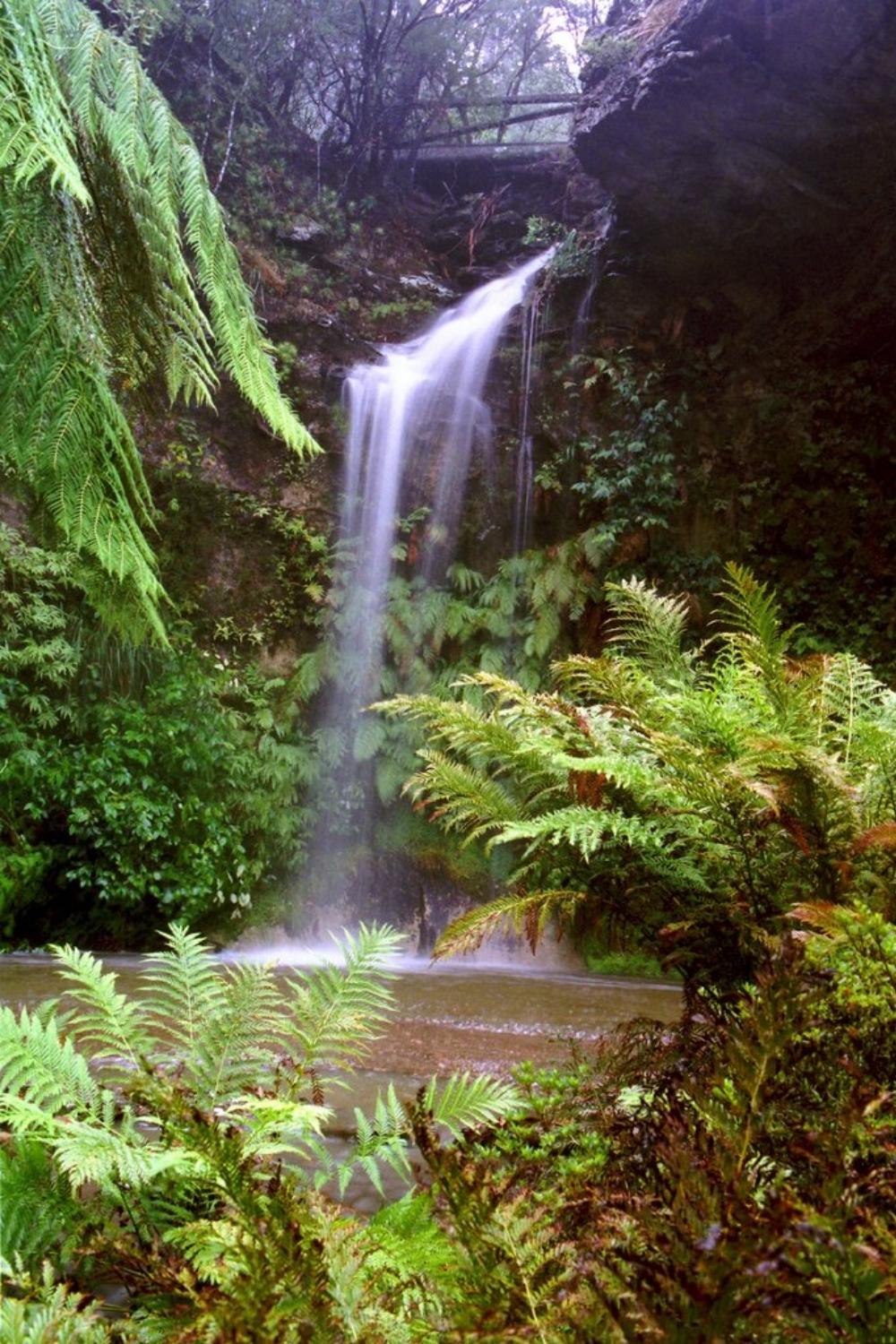 Everglades House & Gardens