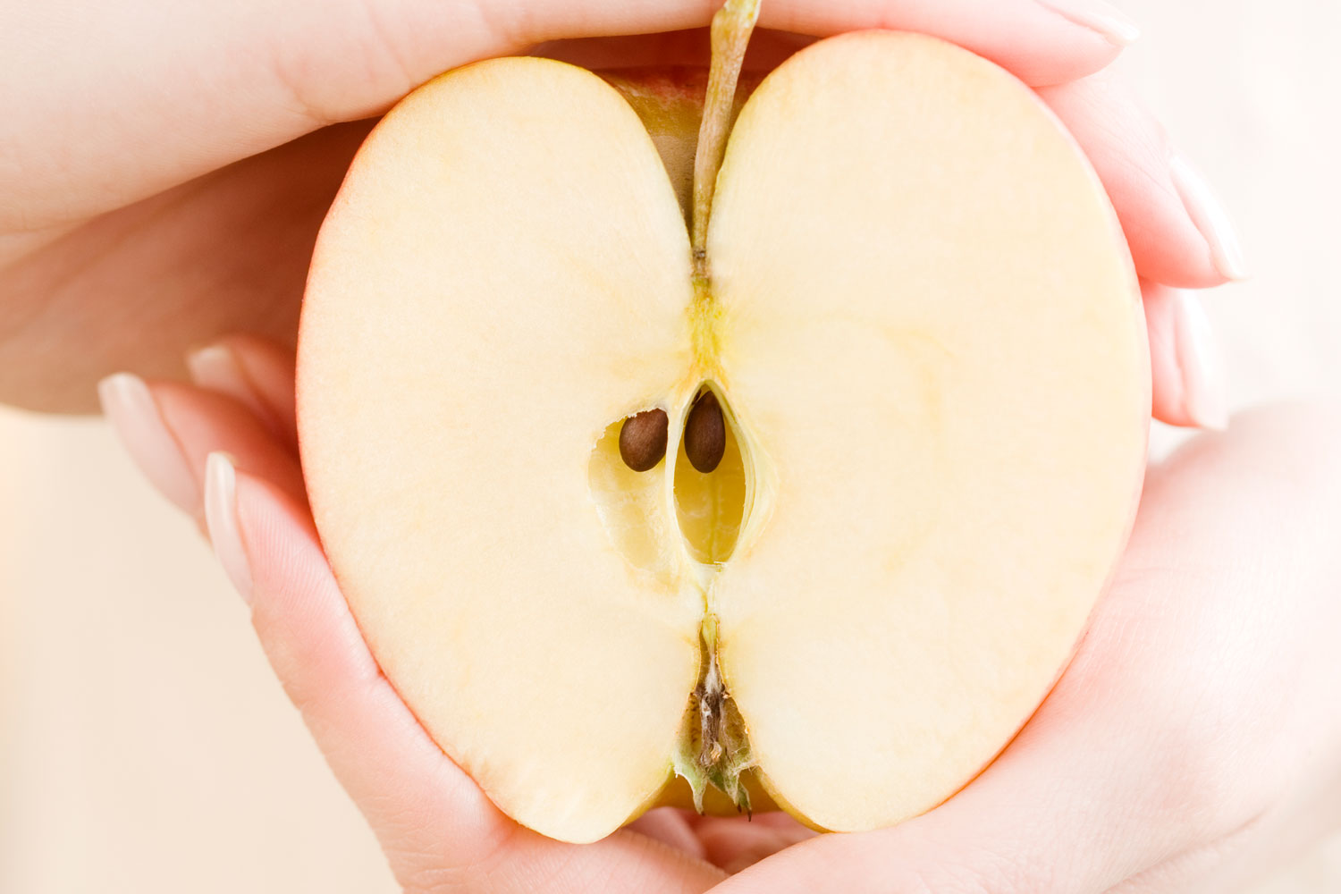 How to Grow Apple Trees from Seed: Tips and Tricks for Success | Better ...