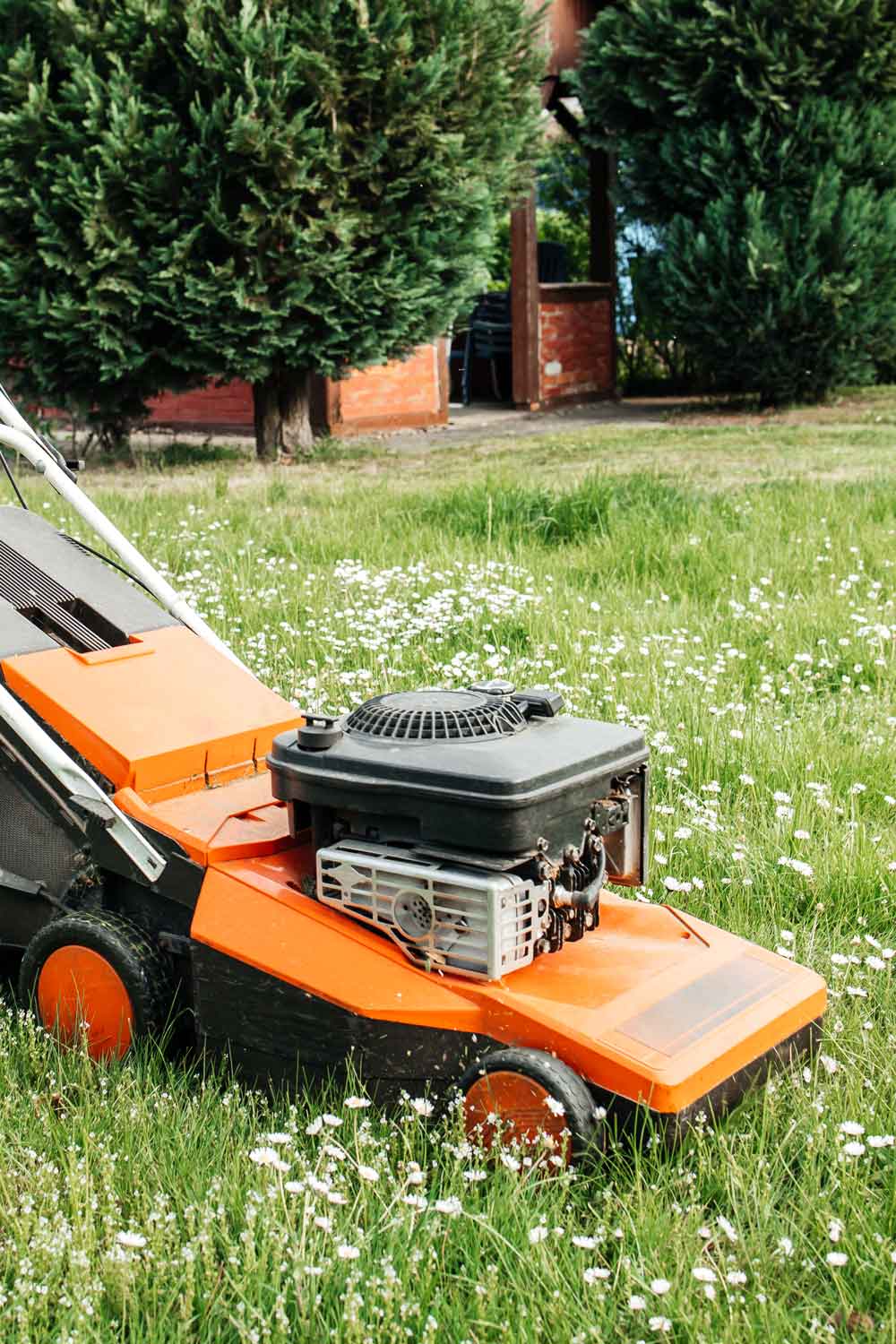 What Time Can I Mow My Lawn? Lawn Mowing Times In Australia Better Homes and Gardens