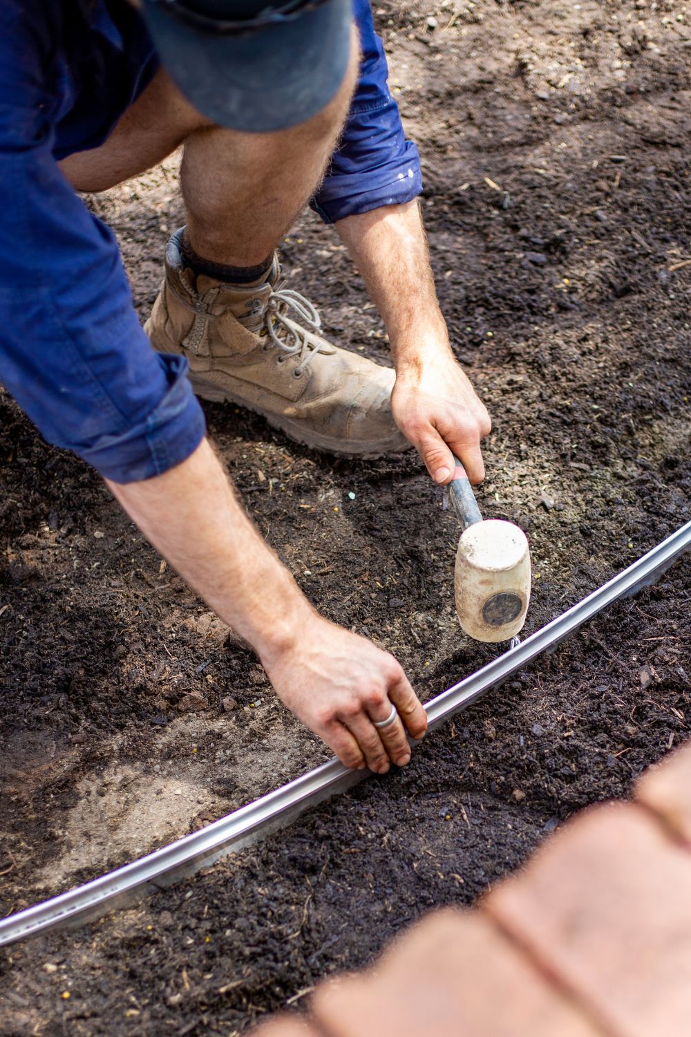 edging-dichondra-lawn