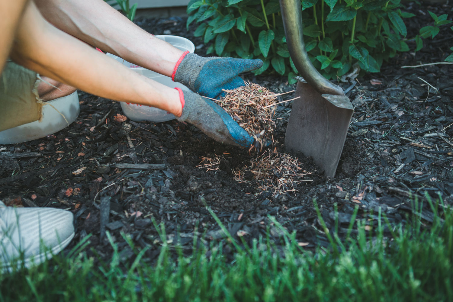5 types of cheap mulch to consider for your garden Better Homes and