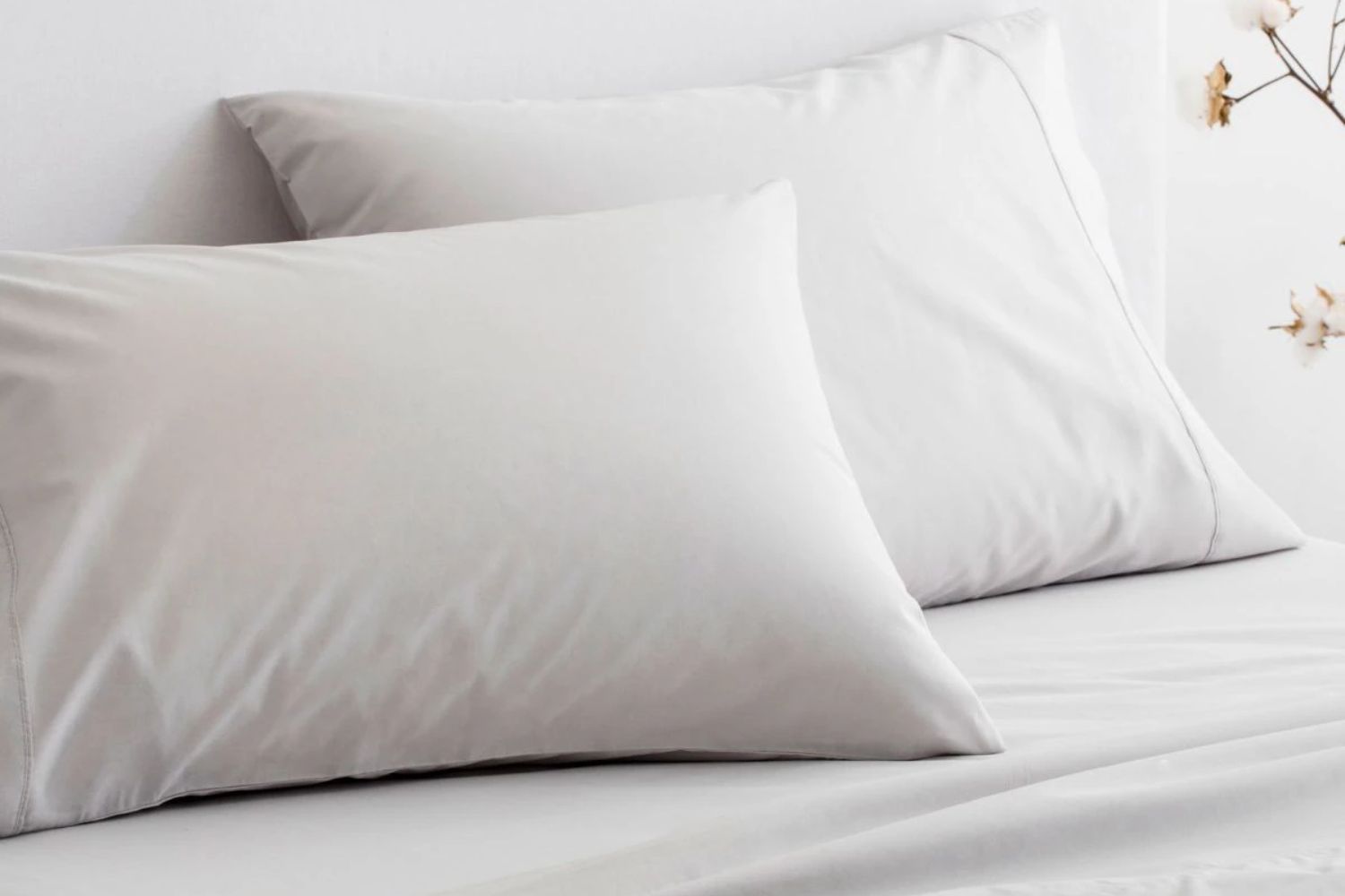 sheridan percale sheets