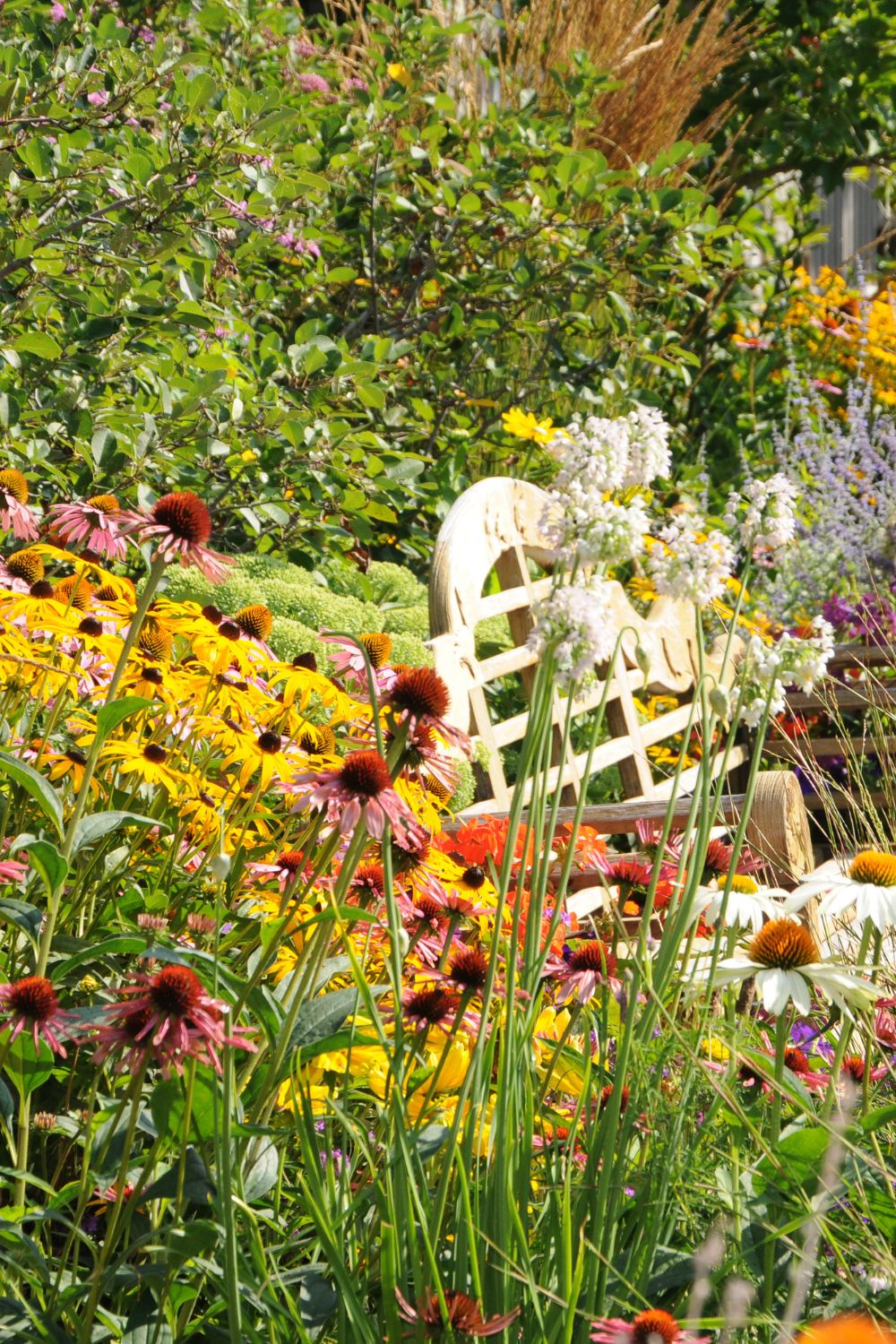 seat-wildflower-garden