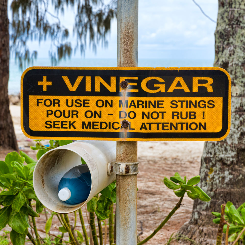 Should you apply vinegar to all jellyfish stings? Better Homes and